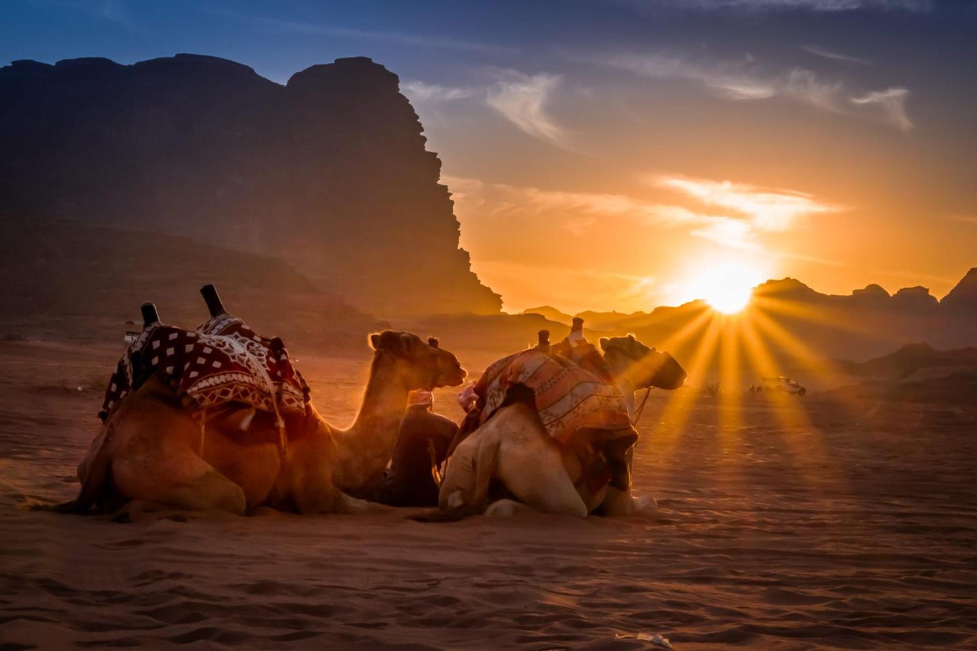 Wadi Rum Mundo Camp Akabe Dış mekan fotoğraf